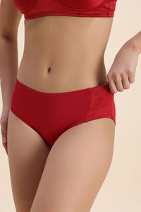Zivame Shimmering Secrets Regular Rise Full Coverage Hipster Panty - Emboldened — thumbnail 3