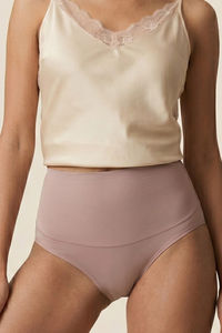 Zivame High Rise Full Coverage Tummy Tucker Hipster Panty - Fawn — thumbnail 4