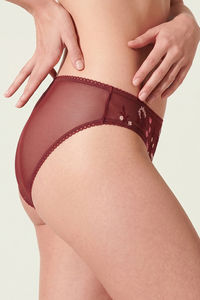 Zivame Wild Rose Low Rise Full Coverage Hipster Panty - Maroon — thumbnail 2