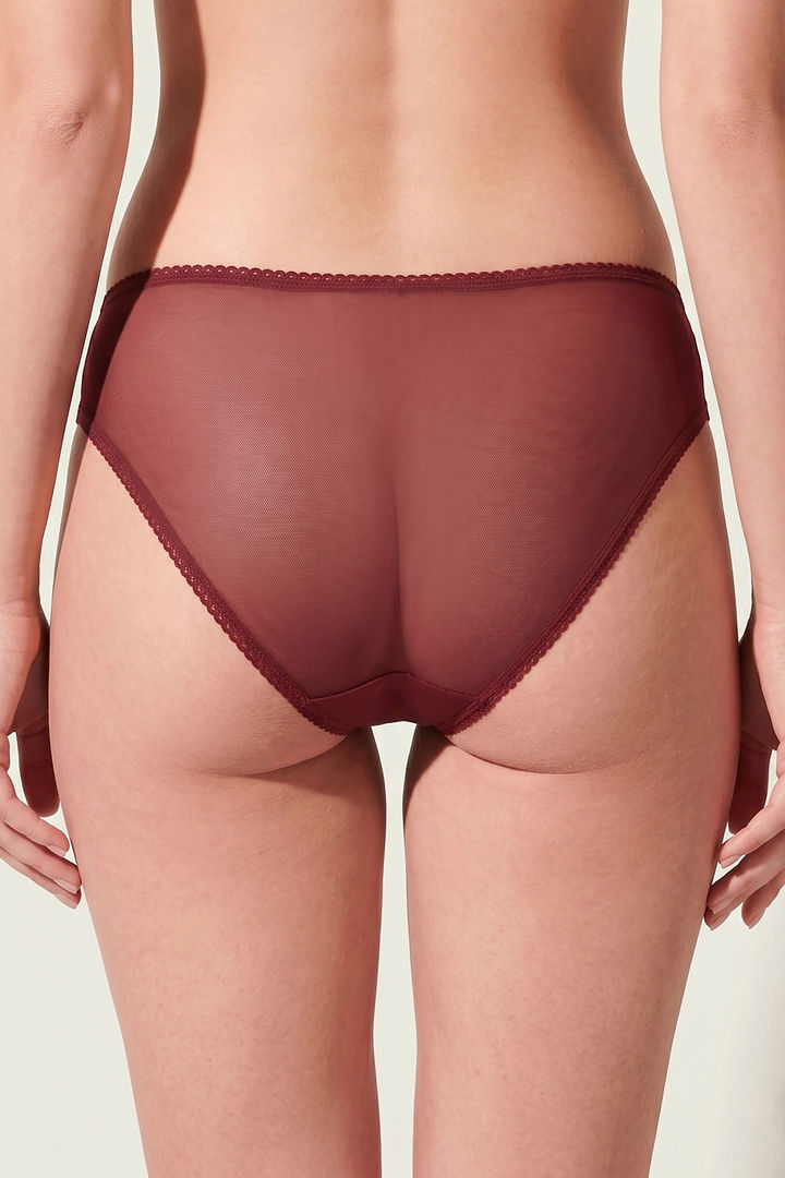 Zivame Wild Rose Low Rise Full Coverage Hipster Panty - Maroon — image 3
