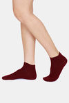 Zivame Ankle Socks (Pack of 2) - Pink Ice Rhododendron — thumbnail 3