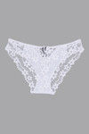 Zivame  Summer Bounty All Over Lace Low Rise Hipster Brief- White — thumbnail 6
