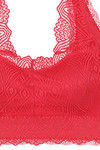 Zivame Double Layered Non Wired Medium Coverage Lace Bra - Rouge Red — thumbnail 7