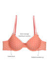 Zivame Padded Wired Low Coverage T-Shirt Bra-Coral Pink — thumbnail 14