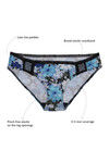 Zivame Ultra Soft Fine Assorted Bikini Brief (Pack of 3) — thumbnail 9