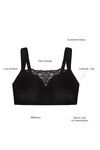 Zivame Beautiful Basics Non Padded Non Wired Full Coverage Cami Bra-Black — thumbnail 6