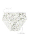 Rosaline Pure Cotton Full Coverage Slim Elastic Panty (Pack of 3)- Blue n Brown — thumbnail 10