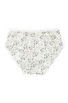Rosaline Pure Cotton Full Coverage Slim Elastic Panty (Pack of 3)- Blue n Brown — thumbnail 11