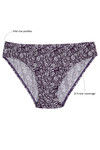 Rosaline Medium Rise Three-Fourth Coverage Bikini Panty (Pack of 3) - Multicolor — thumbnail 12
