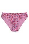 Rosaline Medium Rise Three-Fourth Coverage Bikini Panty (Pack of 3) - Multicolor — thumbnail 14