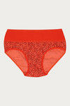 Rosaline Medium Rise Full Coverage Tummy Tucker Hipster Panty (Pack of 2) - Multicolor — thumbnail 17