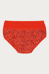 Rosaline Medium Rise Full Coverage Tummy Tucker Hipster Panty (Pack of 2) - Multicolor — thumbnail 18