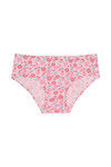 Rosaline Pure Cotton Full Coverage Pastel Daisy Brief (Pack of 3) — thumbnail 9