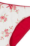 Zivame Rose Razzle Low Rise Bikini Panty- Red — thumbnail 7
