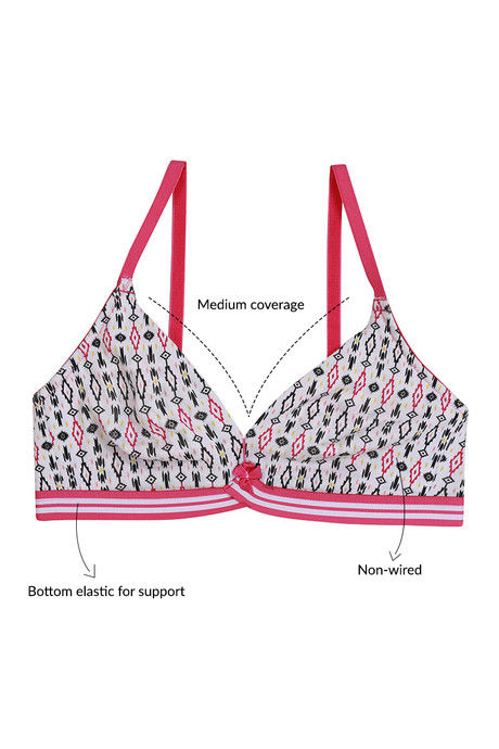 Zivame Whimsical Double Layered Non Wired Medium Coverage Bra-Aztec Print — image 5
