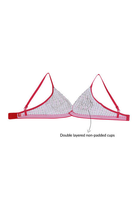 Zivame Whimsical Double Layered Non Wired Medium Coverage Bra-Aztec Print — image 7