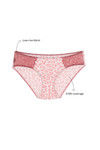 Zivame Low Rise Bikini Brief- Pink Print — thumbnail 7