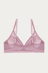 Zivame Moroccan Lace Double Layered Non Wired 3/4th Coverage Lace Bra - Valerian — thumbnail 6