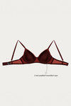 Zivame Moroccan Lace Padded Wired 3/4th Coverage T-Shirt Bra - Dusty Cedar — thumbnail 9
