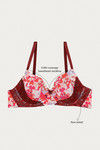Zivame Moroccan Lace Padded Wired 3/4th Coverage Lace Bra - Zinfandel — thumbnail 7