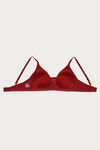 Zivame Padded Non Wired Medium Coverage T-Shirt Bra - Sundried Tomato — thumbnail 9