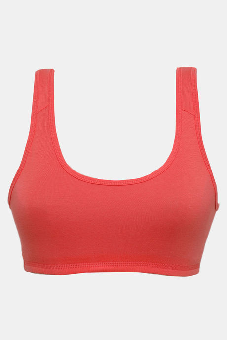 Zivame Double Layered Non Wired 3/4th Coverage Reversible T-Shirt Bra - Peach Grey — image 11