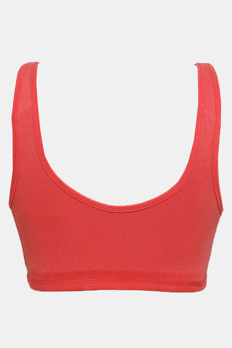 Zivame Double Layered Non Wired 3/4th Coverage Reversible T-Shirt Bra - Peach Grey — image 12
