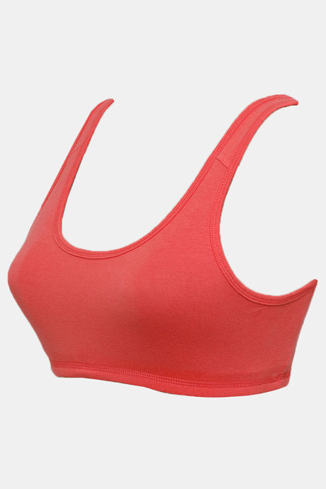 Zivame Double Layered Non Wired 3/4th Coverage Reversible T-Shirt Bra - Peach Grey — image 13