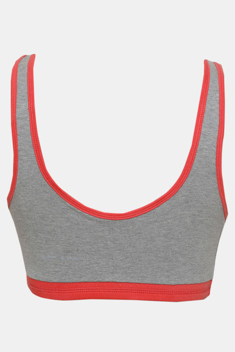 Zivame Double Layered Non Wired 3/4th Coverage Reversible T-Shirt Bra - Peach Grey — image 15