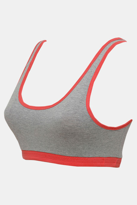 Zivame Double Layered Non Wired 3/4th Coverage Reversible T-Shirt Bra - Peach Grey — image 16