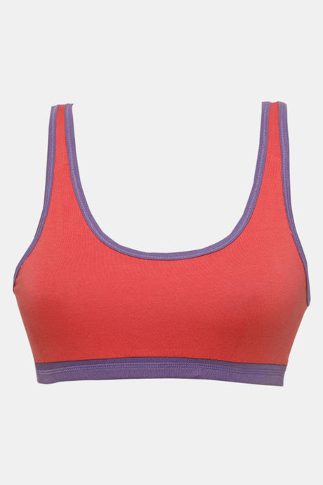 Zivame Double Layered Non Wired 3/4th Coverage Reversible T-Shirt Bra - Peach Purple — image 11