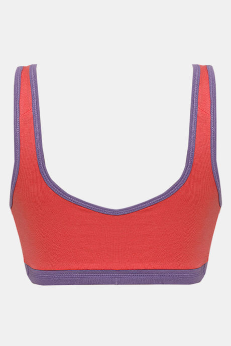 Zivame Double Layered Non Wired 3/4th Coverage Reversible T-Shirt Bra - Peach Purple — image 12