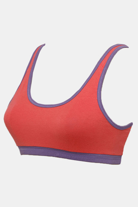 Zivame Double Layered Non Wired 3/4th Coverage Reversible T-Shirt Bra - Peach Purple — image 13