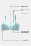 Zivame Marshmallow Padded Non Wired 3/4Th Coverage T-Shirt Bra - Plume — thumbnail 6