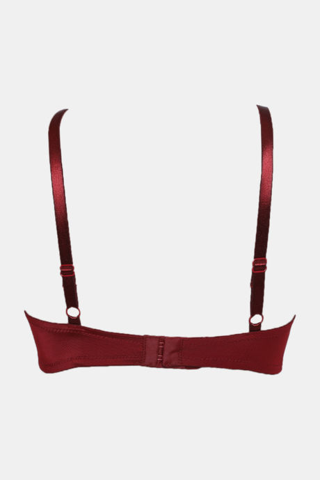 Zivame Beautiful Basics Padded Wired 3/4th Coverage T-Shirt Bra - Merlot — image 6