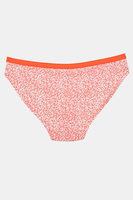 Zivame Anti-Microbial Low Rise Full Coverage Bikini Panty (Pack of 3) - Multicolor — image 16