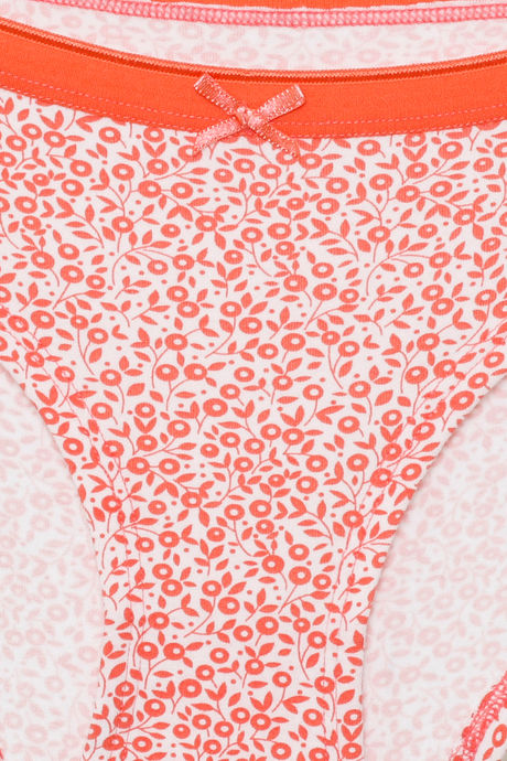Zivame Anti-Microbial Low Rise Full Coverage Bikini Panty (Pack of 3) - Multicolor — image 17