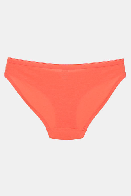 Zivame Anti-Microbial Low Rise Full Coverage Bikini Panty (Pack of 3) - Multicolor — image 19