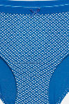 Zivame Anti-Microbial Low Rise Full Coverage Hipster Panty (Pack of 3) - Multicolor — thumbnail 17