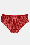 Zivame Anti-Microbial Low Rise Full Coverage Hipster Panty (Pack of 3) - Multicolor — thumbnail 16