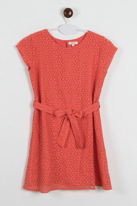 Zivame Coral Swoon-light Lace Midi Skater Dress — image 6