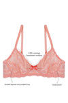 Zivame Tropical Lace Double Layered Wired 3/4th Coverage Lace Bra-Dessert Flower Black — thumbnail 5