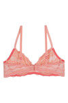 Zivame Tropical Lace Double Layered Wired 3/4th Coverage Lace Bra-Dessert Flower Black — thumbnail 6